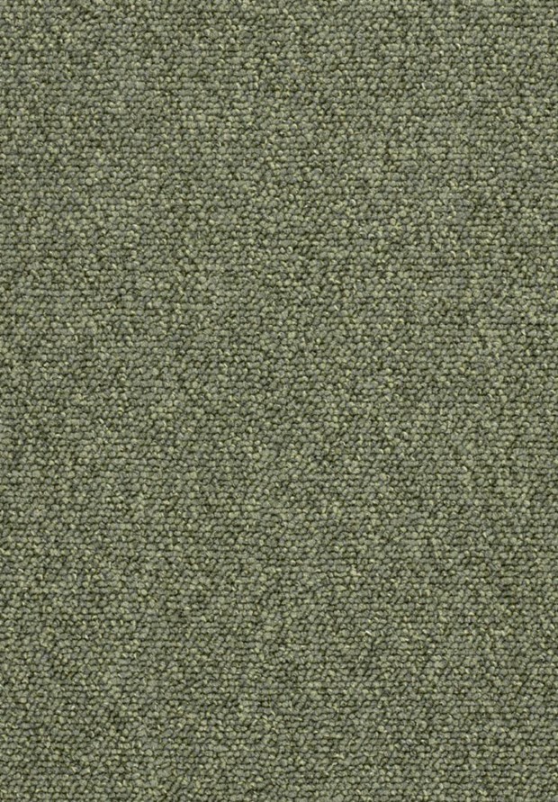 Granit Heltäckningsmatta 400 cm Moss